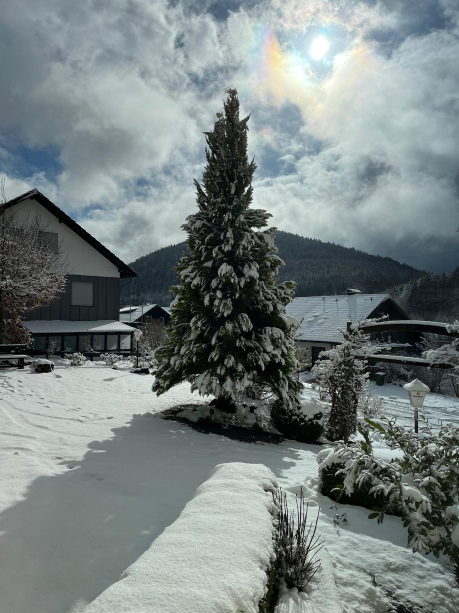 Bed and Breakfast Casa Milix - Bed & Breakfast Winterberg Exterior foto